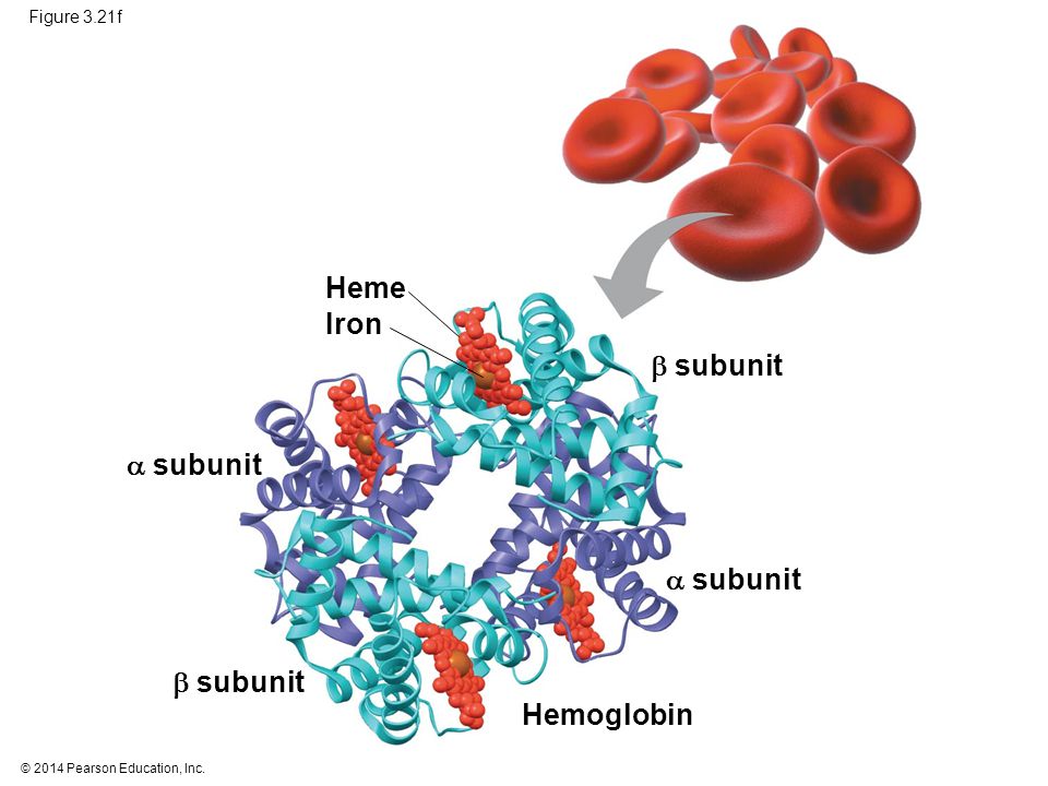 Hemoglobina que significa